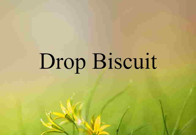 Drop Biscuit (noun) Definition, Meaning & Examples