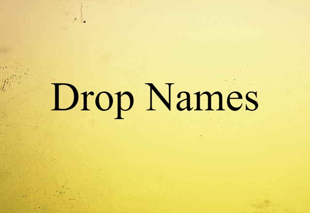 Drop Names (noun) Definition, Meaning & Examples