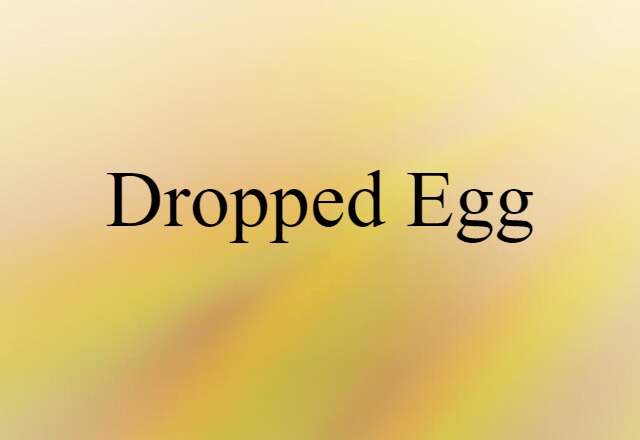 Dropped Egg (noun) Definition, Meaning & Examples