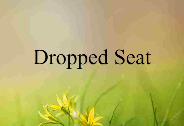 dropped seat