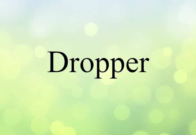 Dropper (noun) Definition, Meaning & Examples