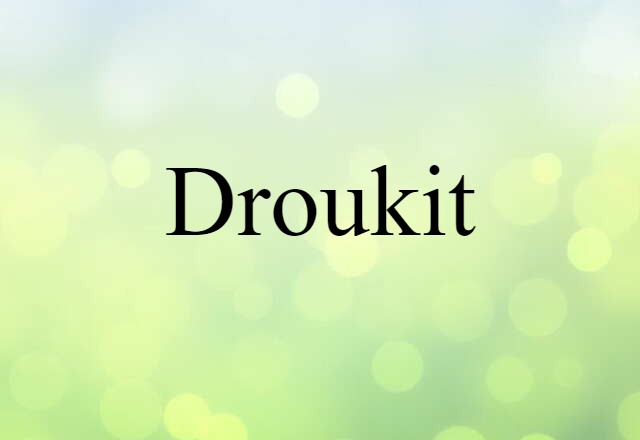 Droukit (noun) Definition, Meaning & Examples