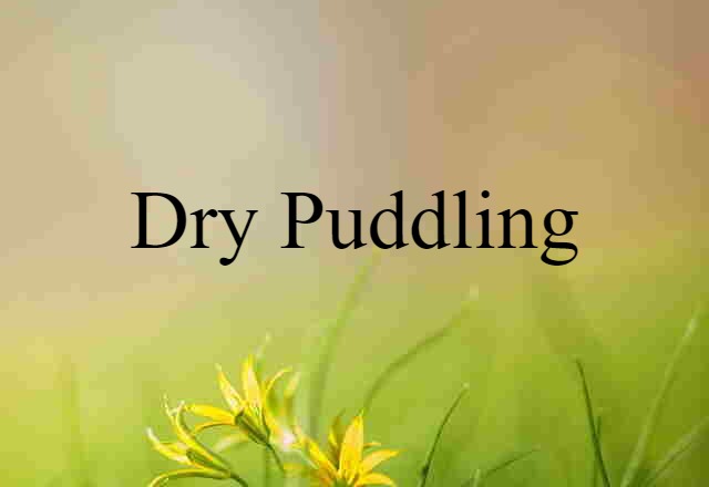 Dry Puddling (noun) Definition, Meaning & Examples