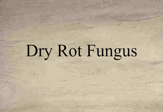 dry rot fungus