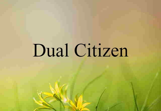 Dual Citizen (noun) Definition, Meaning & Examples