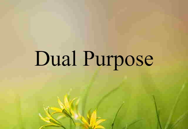 Dual-purpose (noun) Definition, Meaning & Examples