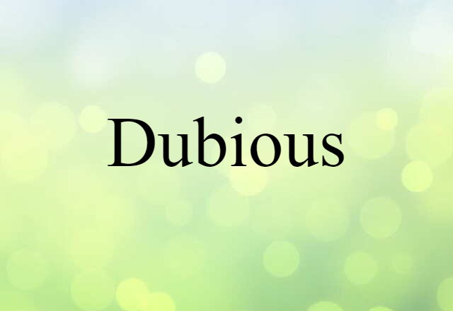 Dubious (noun) Definition, Meaning & Examples