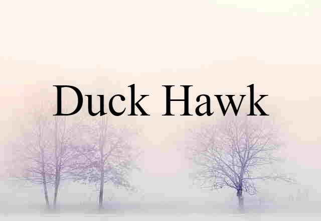 Duck Hawk (noun) Definition, Meaning & Examples