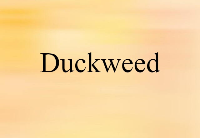 duckweed