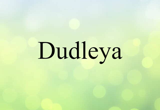 dudleya