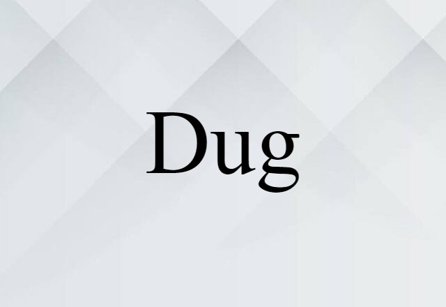 Dug (noun) Definition, Meaning & Examples