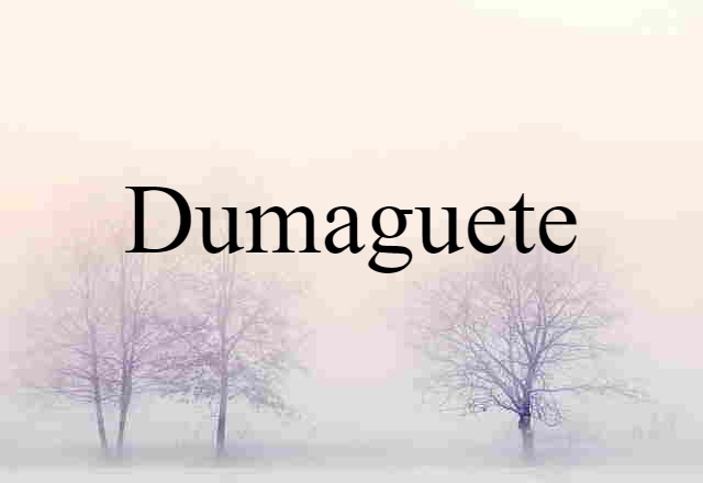 Dumaguete (noun) Definition, Meaning & Examples