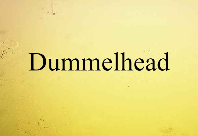 Dummelhead (noun) Definition, Meaning & Examples