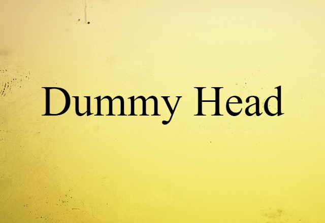 dummy head