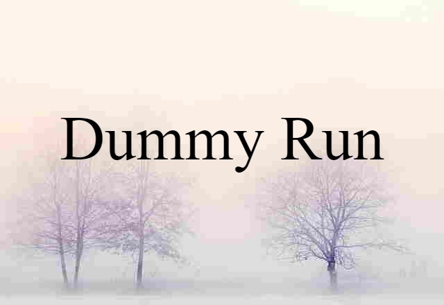 Dummy Run (noun) Definition, Meaning & Examples