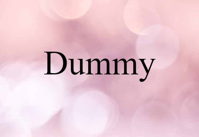 Dummy (noun) Definition, Meaning & Examples