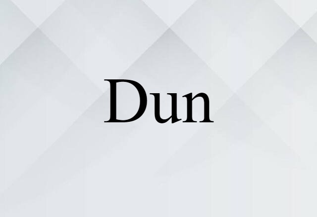 Dun (noun) Definition, Meaning & Examples