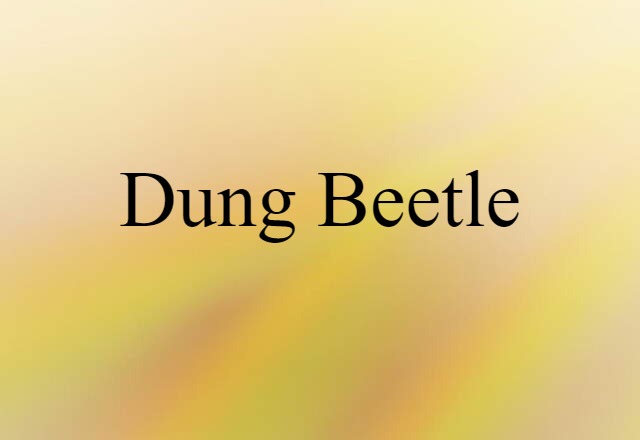 dung beetle