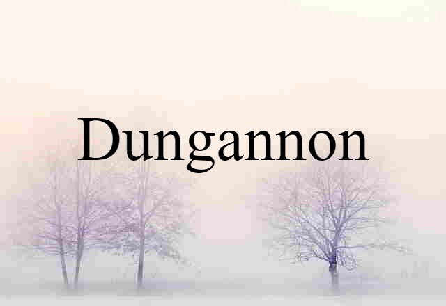 Dungannon (noun) Definition, Meaning & Examples