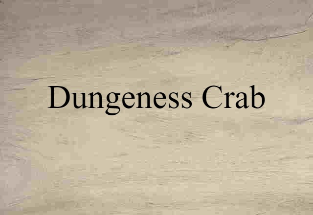 Dungeness Crab (noun) Definition, Meaning & Examples