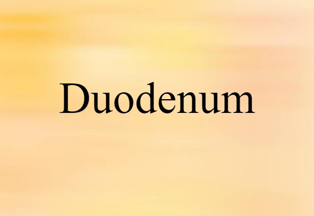 Duodenum (noun) Definition, Meaning & Examples