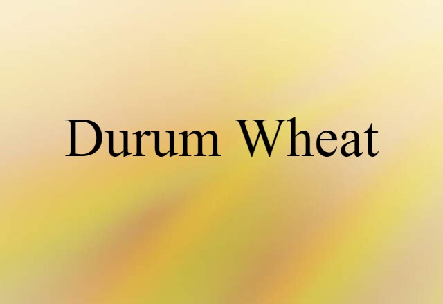 Durum Wheat (noun) Definition, Meaning & Examples