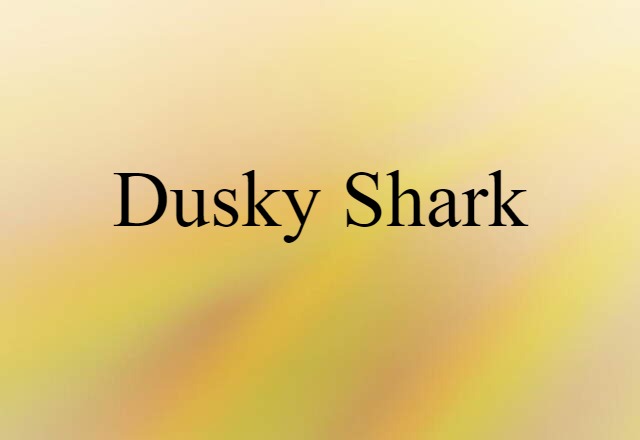 dusky shark