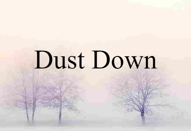 Dust Down (noun) Definition, Meaning & Examples