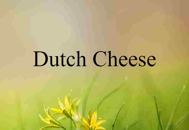 Dutch cheese