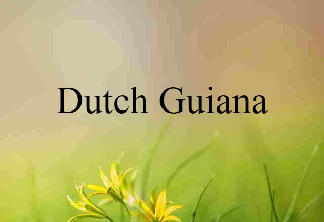 Dutch Guiana (noun) Definition, Meaning & Examples