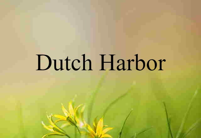 Dutch Harbor (noun) Definition, Meaning & Examples