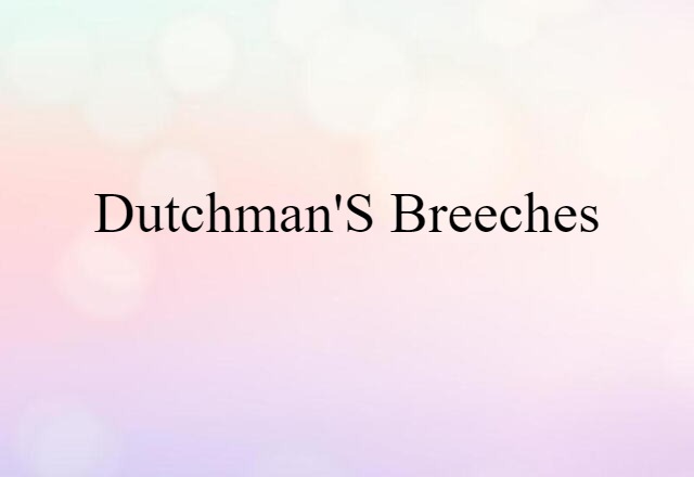 Dutchman's Breeches (noun) Definition, Meaning & Examples