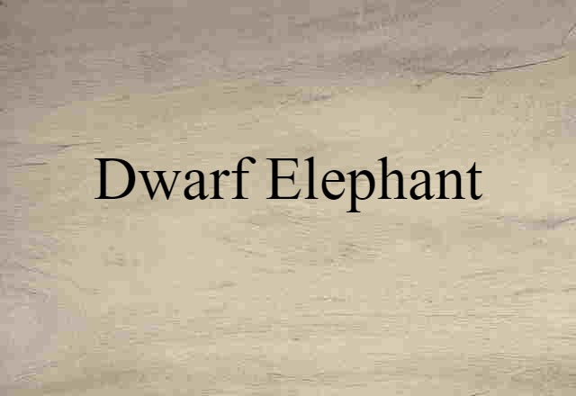 Dwarf Elephant (noun) Definition, Meaning & Examples