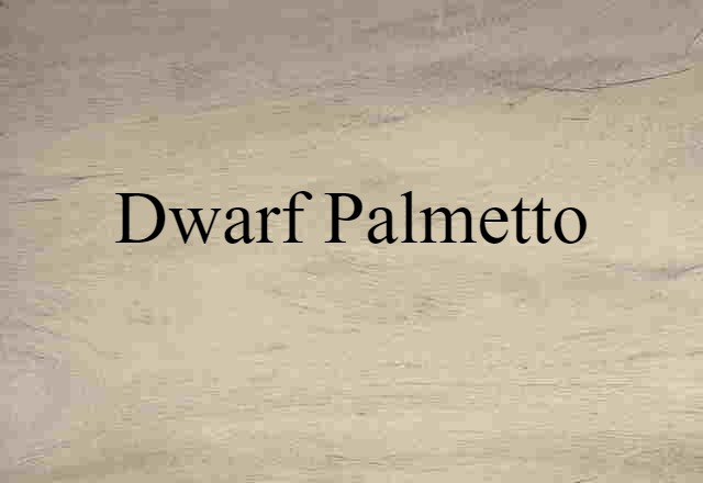 dwarf palmetto