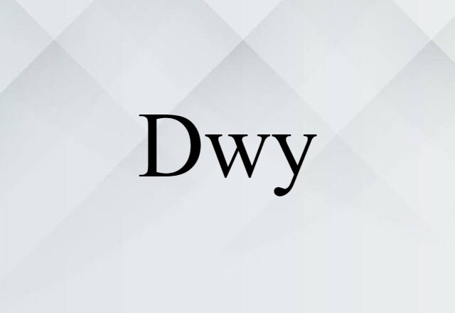 Dwy (noun) Definition, Meaning & Examples