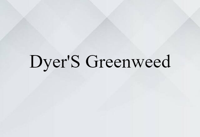 Dyer's Greenweed (noun) Definition, Meaning & Examples