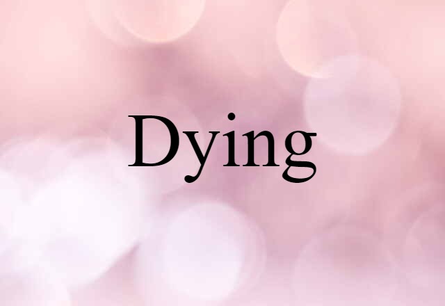 Dying (noun) Definition, Meaning & Examples