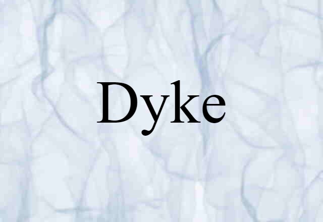 Dyke (noun) Definition, Meaning & Examples