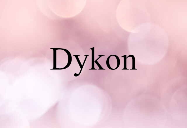 Dykon (noun) Definition, Meaning & Examples