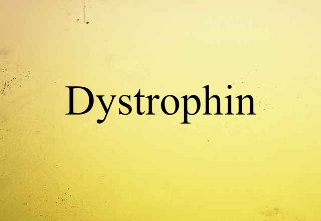 dystrophin