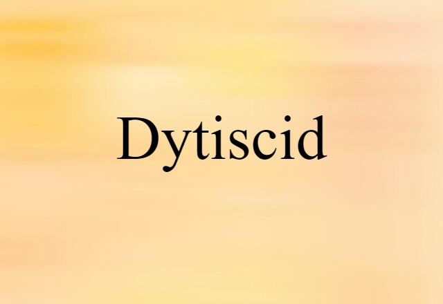 dytiscid