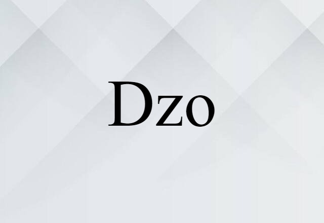 Dzo (noun) Definition, Meaning & Examples