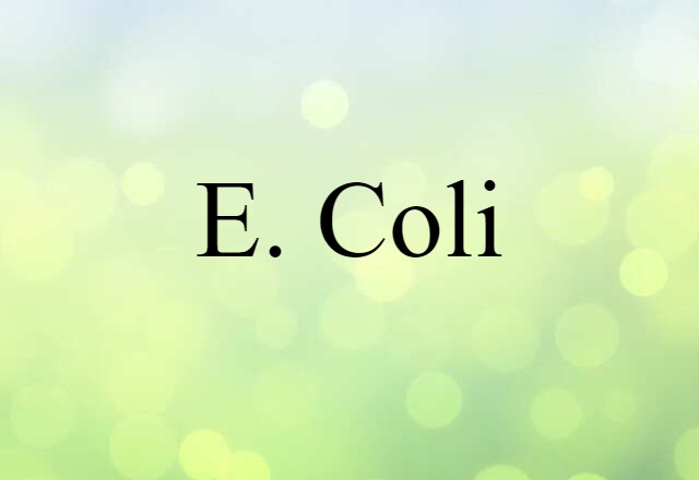 E. Coli (noun) Definition, Meaning & Examples