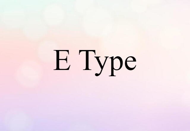 E-type (noun) Definition, Meaning & Examples