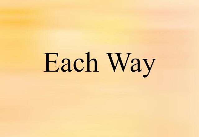 Each Way (noun) Definition, Meaning & Examples