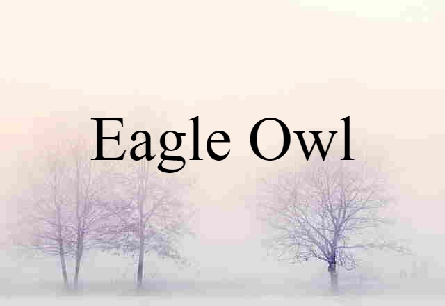 Eagle Owl (noun) Definition, Meaning & Examples