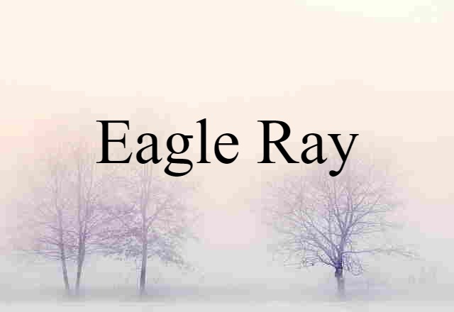 Eagle Ray (noun) Definition, Meaning & Examples