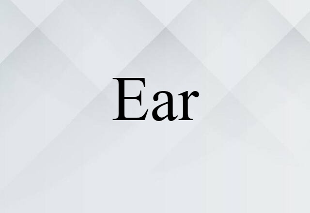 ear