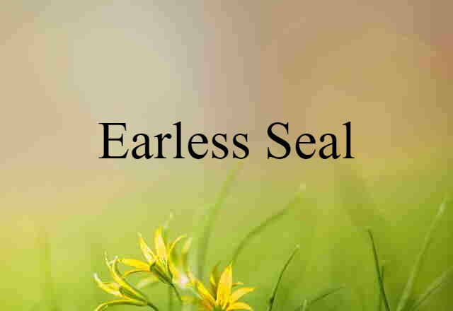 earless seal