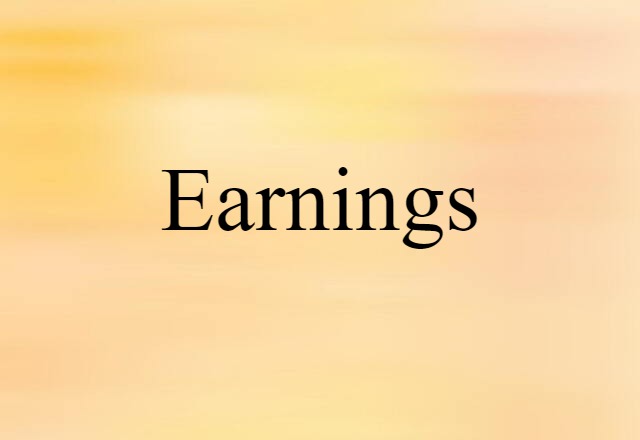 Earnings (noun) Definition, Meaning & Examples